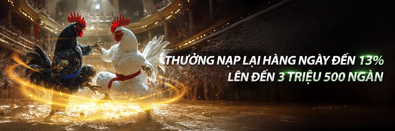Sân vận động thể thao rực rỡ với logo hi88bet nổ hũ